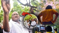 'पवारांवर चित्रपट बनवायला आवडेल, आम्ही त्यांना बांधावरचा नेता म्हणतो, ते रेल्वेने..'