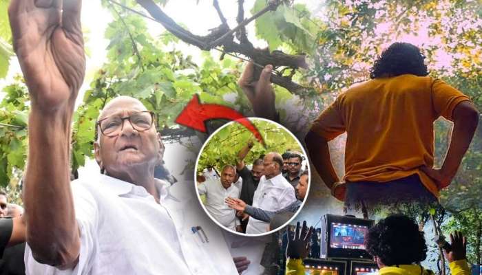 'पवारांवर चित्रपट बनवायला आवडेल, आम्ही त्यांना बांधावरचा नेता म्हणतो, ते रेल्वेने..'