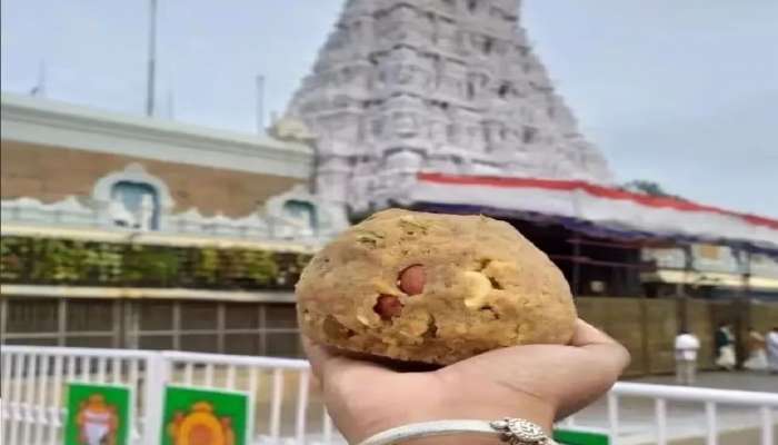 तिरुपती लाडूत प्राण्यांची चरबी आणि माशांचं तेल, आता केंद्र सरकारने घेतला मोठा निर्णय