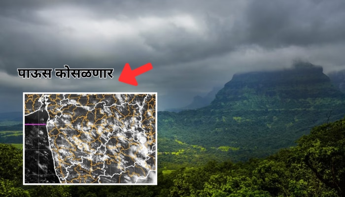 Weather : पावसाने पुन्हा जोर पकडला; &#039;या&#039; जिल्ह्यात चांगलाच कोसळणार, IMD अलर्ट 