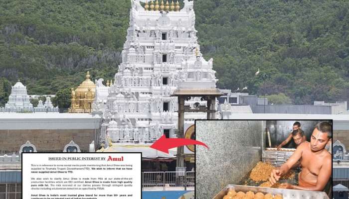 Tirupati Laddu : &#039;आम्ही तिरुपती मंदिराला तूप कधीच पुरवलं नाही&#039;, लाडू वादावर अमूलचं स्पष्टीकरण 