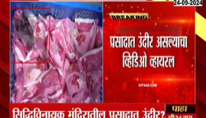 Mumbai Siddhivinayak Temple Chairman Sada Sarvankar On Rats In Ladoo Prasad