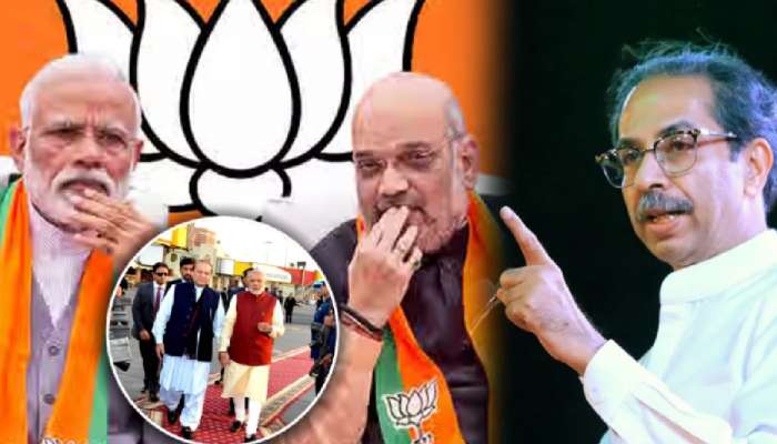 '...म्हणून पाकिस्तान राबवतोय भारतात मोदींना मदत करण्याचा अजेंडा'; ठाकरेंच्या शिवसेनेचा गंभीर आरोप