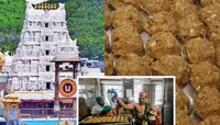 प्राण्यांची चरबी मिसळल्याच्या आरोपांनंतर तिरुपतीमध्ये किती लाडूंची विक्री? 4 दिवसांत
