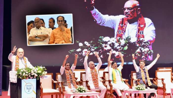 'पवारांना रोखायचं, ठाकरेंनी गद्दारी केली त्यांना...', शाहांचं आवाहन; विदर्भातील जागांचं टार्गेटही ठरलं
