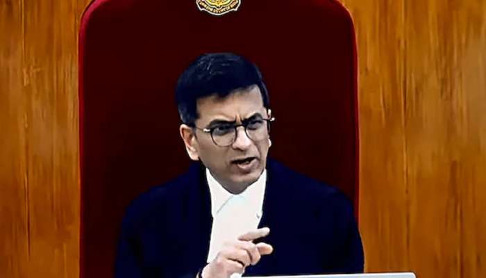 'तुम्ही भारतातील कोणत्याही भागाला पाकिस्तान म्हणू शकत नाही,' CJI डीवाय चंद्रचूड संतापले
