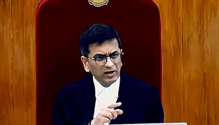 &#039;तुम्ही भारतातील कोणत्याही भागाला पाकिस्तान म्हणू शकत नाही,&#039; CJI डीवाय चंद्रचूड संतापले