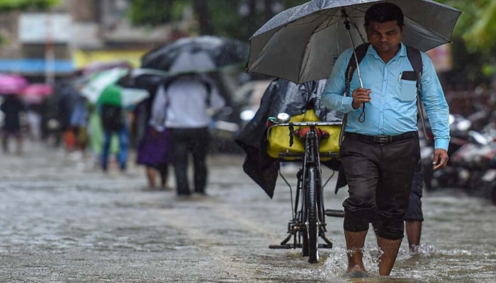 Maharashtra Rain: उद्या राज्यात कशी असेल पावसाची स्थिती? आजच जाणून घ्या हवामान खात्याचा अंदाज