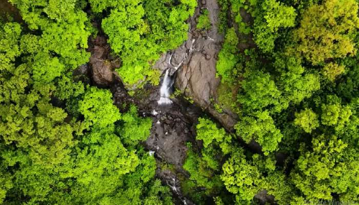 बदलापुरच्या घनादट जंगालातील वाघबीळ! धो धो कोसळणाऱ्या धबधब्याच्या मागे दडलीये रहस्यमयी गुहा