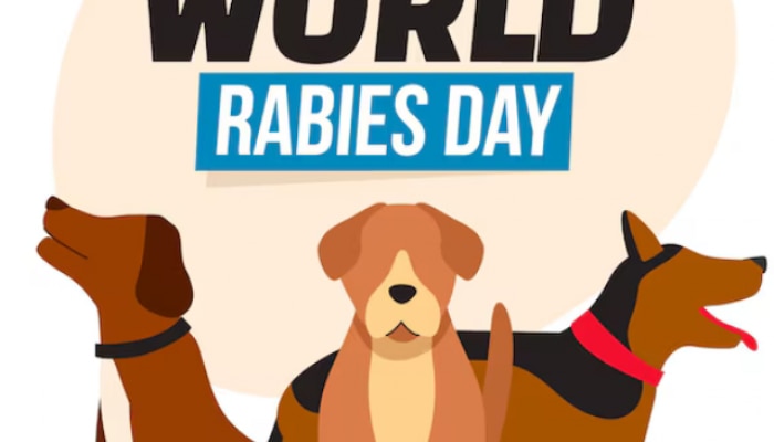 World Rabies Day 2024: कुत्र्यांव्यतिरिक्त &#039;हे&#039; प्राणीही पसरवतात रेबीज 