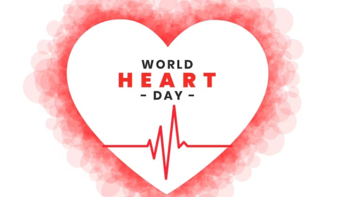 World Heart Day 2024: हृदयाच्या आरोग्यासाठी नियमितपणे कोणत्या रक्त चाचण्या कराव्यात? जाणून घ्या 