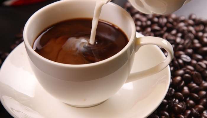 World Most Expensive coffee made from animal poop Marathi News