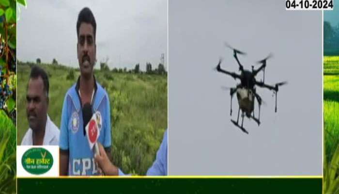 Drone spraying on sugarcane crop in Shirur, farmers will benefit