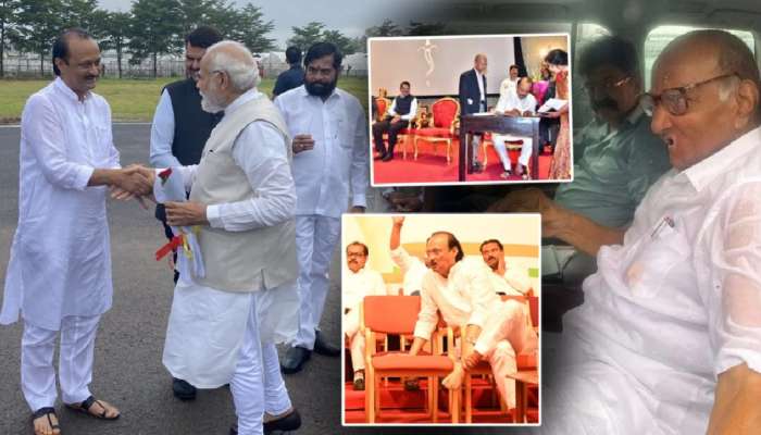 '...म्हणजे पंतप्रधानपदाची जबाबदारी आपल्याकडे यावी अशी अजित पवारांची इच्छा असेल'; आमदाराचं वक्तव्य