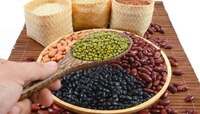तूर, उडीद की मूग... कोणत्या डाळीत असते सर्वाधीक प्रोटीन, रोजच्या आहारात कोणती डाळ वा