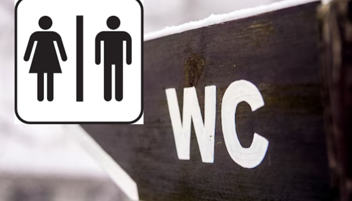 सार्वजनिक बाथरुममध्ये WC का लिहीतात? 99% लोकांना माहितच नाही 