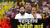 महायुतीकडून ओबीसींना खूष करण्यासाठी मोठे निर्णय, विधानसभेला फायदा होणार?