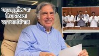 महाराष्ट्रातील 'या' विद्यापीठाला दिलं रतन टाटांचं नाव; शिंदे सरकारने केली घोषणा
