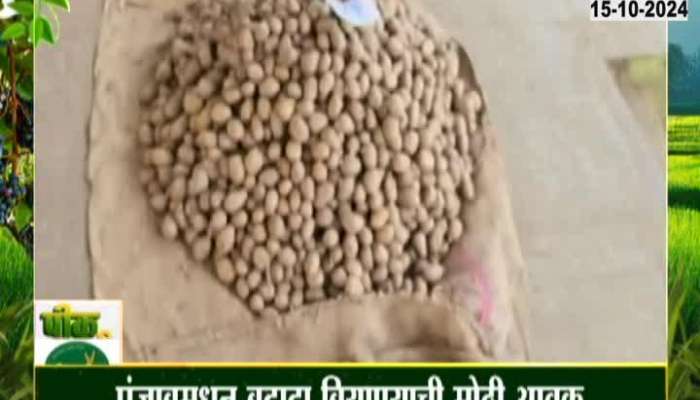 Large inflow of potato seeds from Punjab, farmers turn to potato seeds