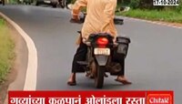 सावंतवाडीत गव्यांच्या कळपाचं दर्शन, व्हिडीओ सोशल मीडियावर व्हायरल 