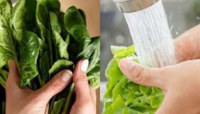 baking soda powder vs simple water , green vegetable washing technique, how should we wash green vegetables, green vegetable, health, health news, health news, health news in marathi, lifestyle, lifestyle news, lifestyle news in marathi, 