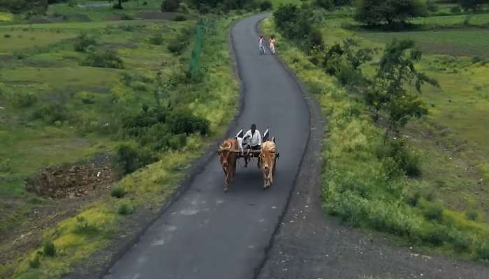 महाराष्ट्रात आहे भारतातील सर्वात श्रीमंत गाव; इथं राहतात 60 करोडपती; इतकी कमाई करतात, यांचा व्यवयास काय?  