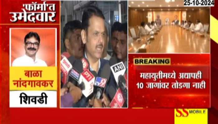 Maharashtra Assembly Election No Solutions On 10 Seats Of Mahayuti