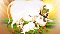 Vasubaras 2024 : वसुबारस का साजरी करावी? कोणत्या गाईची पूजा केली जाते, जाणून घ्या 'य