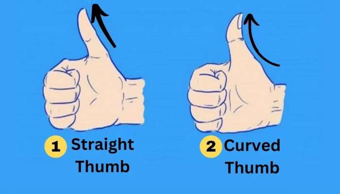 Personality Test: अंगठ्याचा आकार सांगतो तुमच्या स्वभावातील गुणदोष, एकदा खात्री कराच!