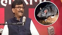 तुरुंगात असताना संजय राऊतांनी उंदरांना कोणती नावं दिली होती? 
