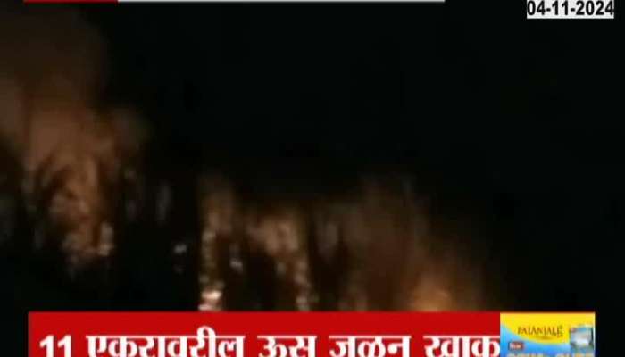 11 acres of sugarcane burnt down in Nandurbar huge loss to farmers during Diwali