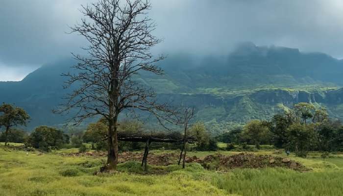 PHOTO: महाराष्ट्रातील आश्चर्यकारक ठिकाण 2 तास उशीरा होतो सूर्योदय आणि सूर्यास्त; सह्याद्रीच्या डोंगरात दडलेलं फोफसंडी गाव 