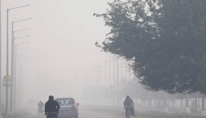 Maharashtra Weather : राज्यात थंडीची चाहूल! पण अजूनही काही ठिकाणी बरसणार पाऊस; IMD चा इशारा 