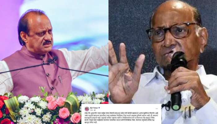 '...खपवून घेणार नाही', अजित पवारांनी महायुतीमधील नेत्यालाच दिला इशारा, शरद पवार ठरले कारण