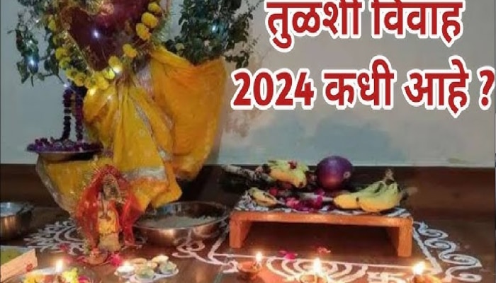 Tulsi Vivah 2024 Date : 12 की 13 नोव्हेंबर कधी आहे तुळशी विवाह? यंदा किती दिवस असणार सोहळा? तिथी, शुभ मुहूर्त जाणून घ्या 