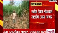 मोठी बातमी! राज्यातील साखरेचं उत्पादन घटणार? 