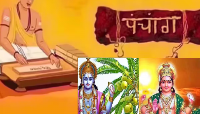 Sunday Panchang : आज अक्षय नवमीसह ध्रुव योग! आज आवळा वृक्षाला अतिशय महत्त्व, 'या' शुभ मुहूर्तावर करा पूजा!