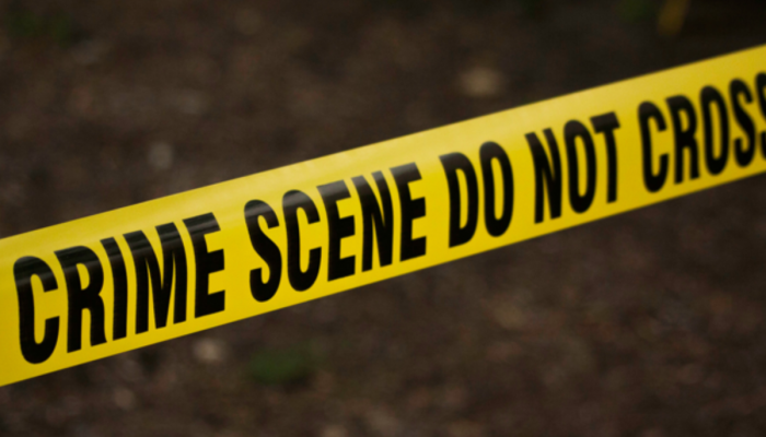 Mumbai Crime : 7 तुकडे करुन डोकं, हात-पाय प्लॅस्टिकच्या डब्यात भरले...; गोराईच्या जंगलात सापडला गोणीत भरलेला मृतदेह