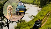 नोव्हेंबर- डिसेंबरमध्ये जंगल सफारीला जायचंय? 'ही' घ्या Best ठिकाणांची यादी