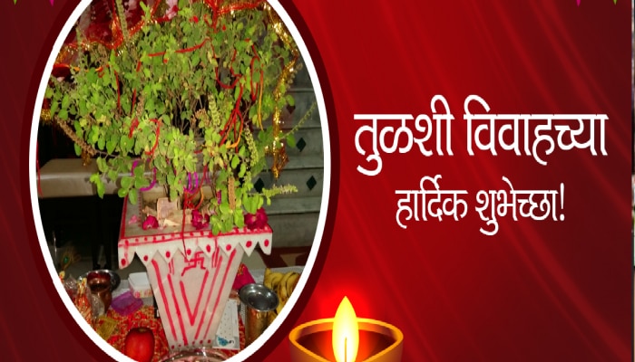 Tulsi Vivah Wishes in Marathi : तुळस लावली अंगणी...तुळशी विवाहानिमित्त नातेवाईकांना द्या खास मराठीतून शुभेच्छा