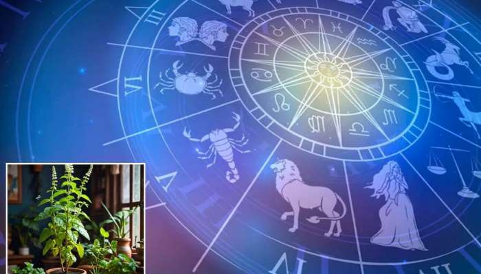 Horoscope : तुळशी विवाहाला मिथुन, कर्क आणि कन्या राशीच्या लोकांना मिळणार धनलाभ; घरात राहील सुख, समृद्धी आणि ऐश्वर्य नांदेल 