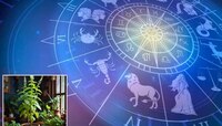 Horoscope : तुळशी विवाहाला मिथुन, कर्क आणि कन्या राशीच्या लोकांना मिळणार धनलाभ