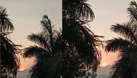 मुंबईच्या गर्दीत दडलेलं छुप हिल स्टेशन, फिरताना येतो माथेरान, महाबळेश्वरचा फिल...