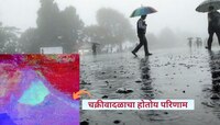 Maharashtra Weather : चक्रीवादळाचा राज्यावर परिणाम; 'या' जिल्ह्यात पावसाची शक्यता