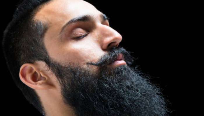 दाढीचे केस का गळतात? No Shave November का साजरा केला जातो? 