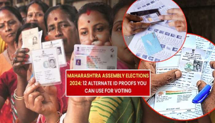 Voter ID नसेल तर &#039;या&#039; 12 पैकी कोणताही 1 पुरावा दाखवून करता येईल मतदान; मोबाईल न्यायचा की नाही?