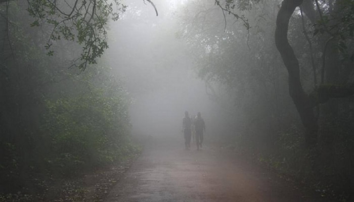 Maharashtra Weather News : देशासह राज्यात हुडहुडी; तापमानात लक्षणीय घट, आकडा पाहूनच म्हणाल, किती हा गारठा.... 