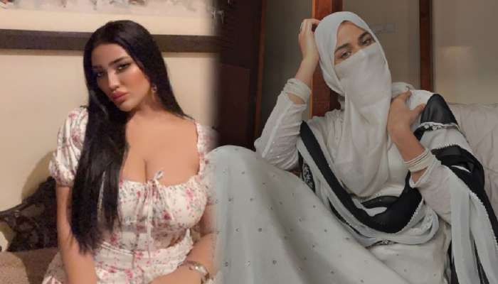 पाकिस्तानी सेलिब्रिटींचे प्रायव्हेट Video Viral! समोर आलं धक्कादायक सत्य; ती म्हणाली, 'माझ्या...'