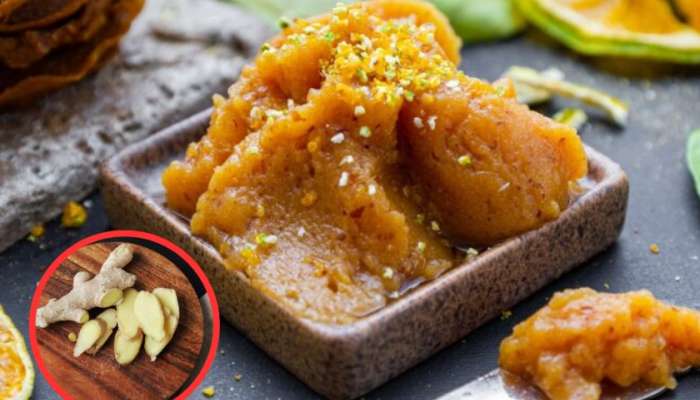 Ginger Halwa Recipe: सर्दी-खोकल्यापासून आराम हवाय? बनवा अद्रकाचा शिरा, प्रतिकारशक्तीही वाढेल!  