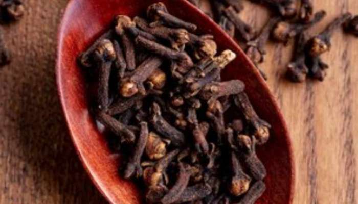 cloves, benefits of cloves, can you put cloves in your mouth while sleeping, What is the best way to take cloves, What are the side effects of clove flower, Is it good to chew cloves at night, लवंग, मराठी बातम्या, बातम्या 